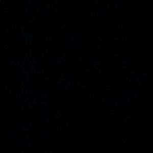 Meet your Posher, Eden